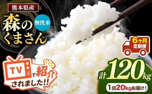 【定期便6回】熊本県産 森のくまさん 無洗米 選べる 内容量 20kg | お米 無洗米 お米 20キロ 120キロ お米 送料無料 お米 熊本 くまもと お米  熊本県  国産 KOKUSAN 国産米 熊本県 玉名市
