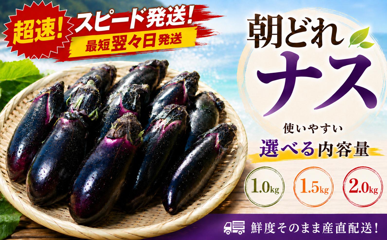 
                  スピード発送【今が旬☆新鮮！朝どれナス‼選べる容量♪】 ナス なす 茄子 なすび 野菜 やさい 夏野菜 秋野菜 朝採れ 新鮮 産地直送 産直 2キロ 詰め合わせ 箱買い まとめ買い 料理 煮物 焼きナス 天ぷら 揚げ物 浅漬け 漬物 味噌汁 麻婆茄子 麻婆 中華 炒め物 副菜 自宅用 家庭用 お取り寄せ 旬 期間限定 高知産 室戸産 おひさま農園 高知県 室戸市
                