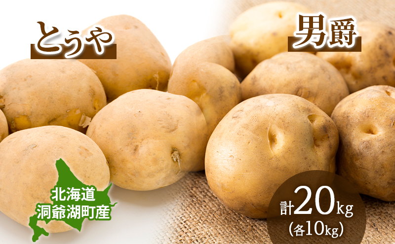 じゃがいも とうや 男爵 各10kg×1 計20kg 9月上旬～12月中旬までお届け ジャガイモ 芋 甘い なめらか しっとり ポタージュ カレー 調理 料理 煮込み料理 旬 季節 農作物 野菜 根菜 北海道 とうや湖農業協同組合 