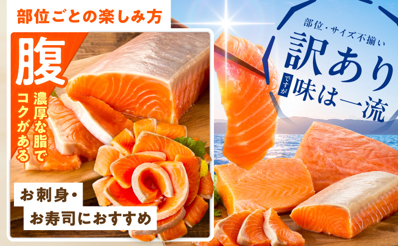 サーモン 定期便 1kg×全3回【ポーション 訳あり サイズ不揃い 刺身 海鮮丼 さーもん サラダ カルパッチョ 鮭 さけ シャケ しゃけ 人気 小分け 冷凍 家計応援 大阪 泉佐野 大阪府 泉佐野市