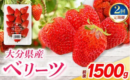 【定期便2回】ベリーツ × 6パック ( 約1500g ) ( 1パック/250g前後 ) | 苺 イチゴ いちご ベリー フルーツ 果物 くだもの 大分県産 産地直送 定期 定期便 大分県 中津市