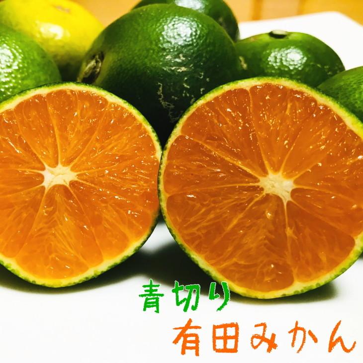 【ふるさと納税】特選 青切り有田みかん 約5kg ［2025年9月中旬より発送］［MS30］ | 有田みかん みかん ミカン フルーツ 厳選 青切り 果物 くだもの 食品 人気 おすすめ 送料無料 農家直送
