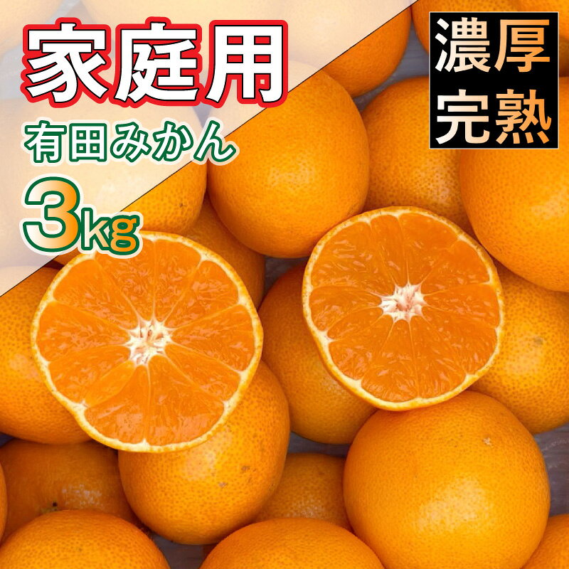 【ふるさと納税】北真農園 有田みかん 家庭用 約 3kg 濃厚完熟 お試しサイズ （ご家庭用　SSサイズ～Lサイズ混合） ORYY推奨