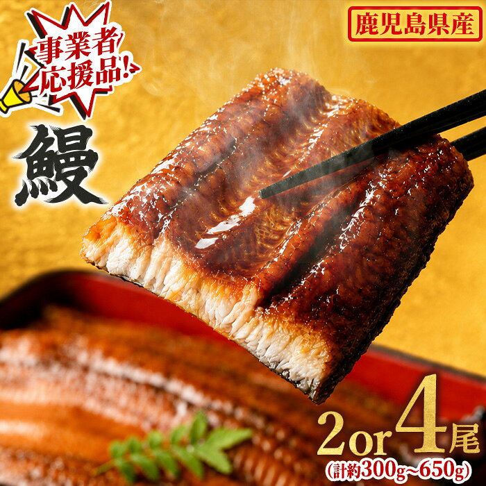 東串良町のうなぎ蒲焼(無頭) 2尾(320g以上・タレ、山椒付)