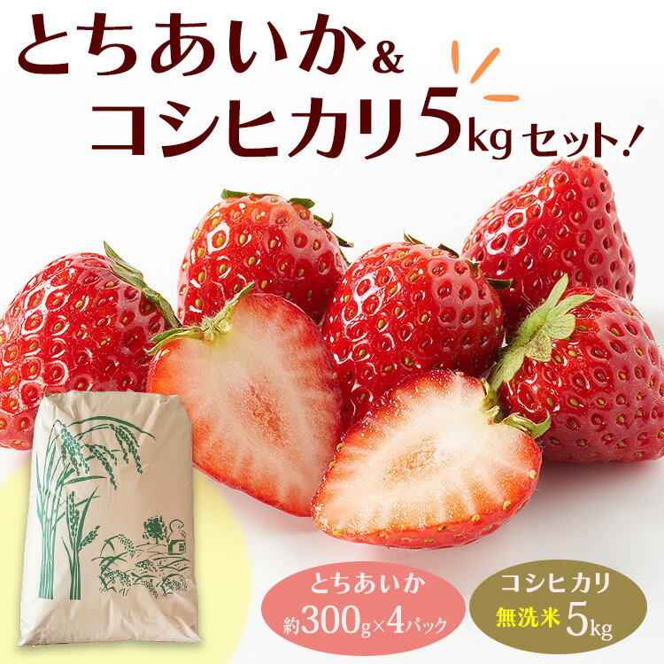【ふるさと納税】とちあいか（約300g×4パック）＆令和7年産無洗米コシヒカリ5kgセット！｜いちご 米 新米 5キロ 尚仁沢湧水 栃木県 塩谷町 ※2025年12月中旬～2026年4月下旬頃に順次発送予定 ※北海道・沖縄・離島への配送不可