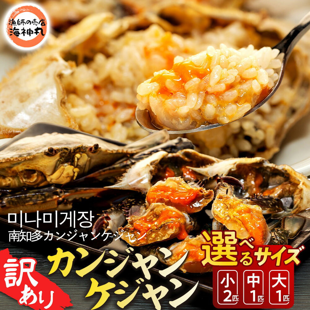 【ふるさと納税】 選べる サイズ 訳あり 南知多カンジャンケジャン カンジャンケジャン 大中小 ワタリガニの醤油漬け 魚介 魚介類 ワタリガニ 渡蟹 蟹 新鮮 グルメ カニ お米 に合う コメ に合う こめ に合う ご飯 のお供 おすすめ 韓国料理 韓国グルメ 愛知県 南知多