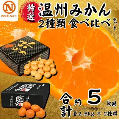 【先行受付】特選温州みかん2種類食べ比べ(味ピカ・蜜る)各2.5kg×2箱【E08-94】 YWTV047