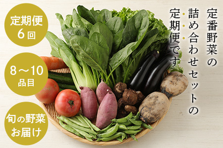  【６ヶ月定期便】旬のおまかせ 野菜BOX 野菜定期便 旬の野菜 詰合せ 野菜 新鮮 野菜 8～10品目E-72