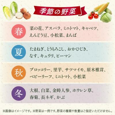 ふるさと納税 三木町 プチマルシェお野菜ボックス(M)　季節の野菜8〜9種類　≪ IDOMALL セレクト≫ |  | 02