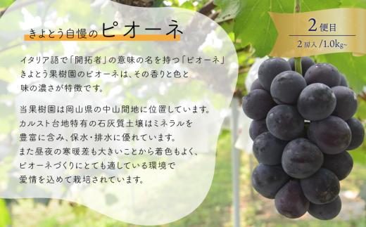【2026年先行予約】桃・ぶどう・梨が全４回届く岡山フルーツ定期便 (岡山県産)【KF-T006-03】