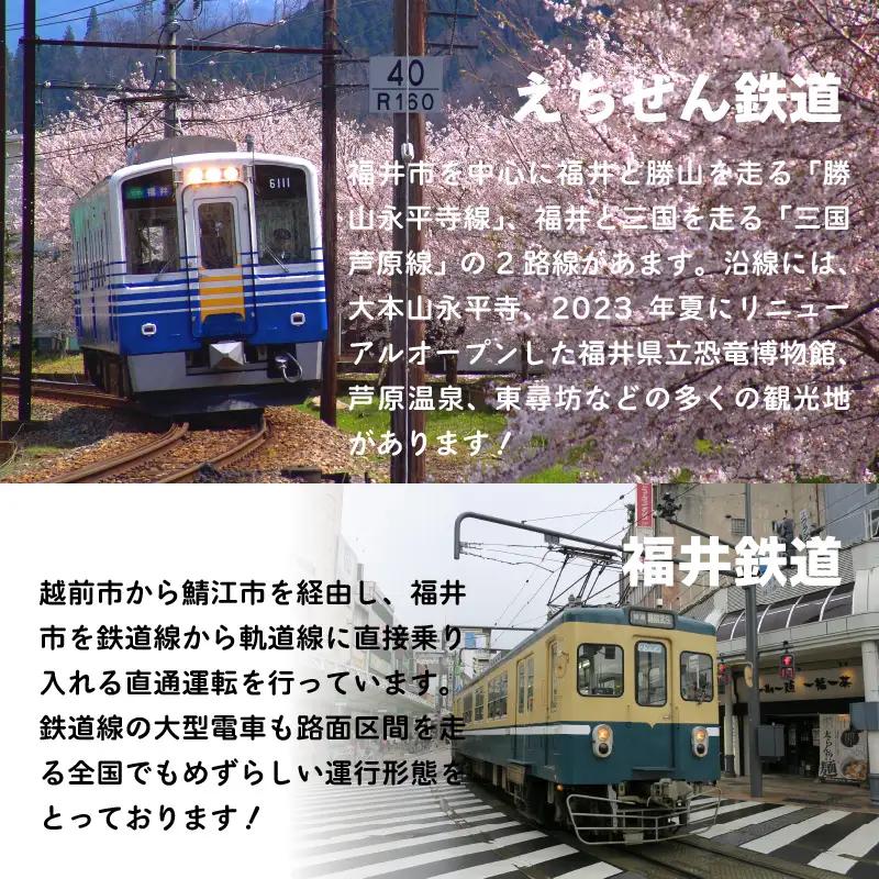 鉄道1日フリーきっぷ えちぜん鉄道・福井鉄道  [A-039004]