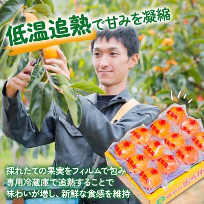 ふるさと納税 本巣市 丸金青果 富有柿 2Lサイズ (12個入) 低温追熟【甘みがきわだつ、低温追熟した富有柿をお届け!】 |  | 02