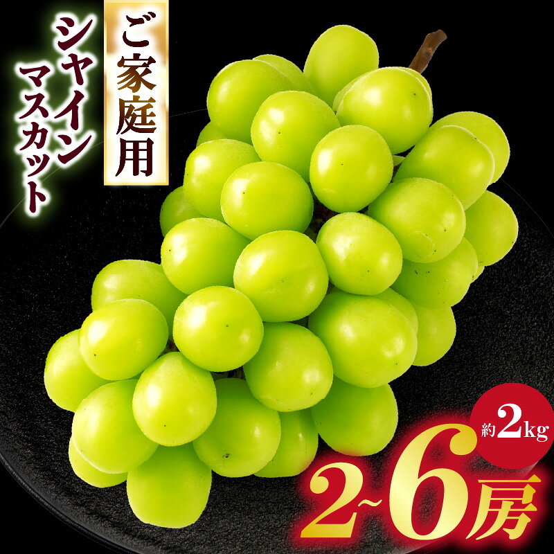 【ふるさと納税】ご家庭用シャインマスカット　約2kg | シャインマスカット マスカット ぶどう ブドウ 葡萄 果物 フルーツ 新鮮 くだもの 国産 ギフト お裾分け 旬 人気 種なし ジューシー 糖度が高い 季節限定 おすすめ 旬の果物 香川 香川県 三木町 ご家庭用 訳あり