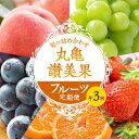 【ふるさと納税】フルーツ定期便 丸亀讃美果 計3回定期便／ 果実 果物 旬 定期配送 シャインマスカット 桃 みかん いちご ピオーネ ぶどう　詰め合わせ 詰合せ　定期便・ 果物類 フルーツ 果物 旬のフルーツ 季節の果物 桃 ブドウ いちご みかん せとか お楽しみ