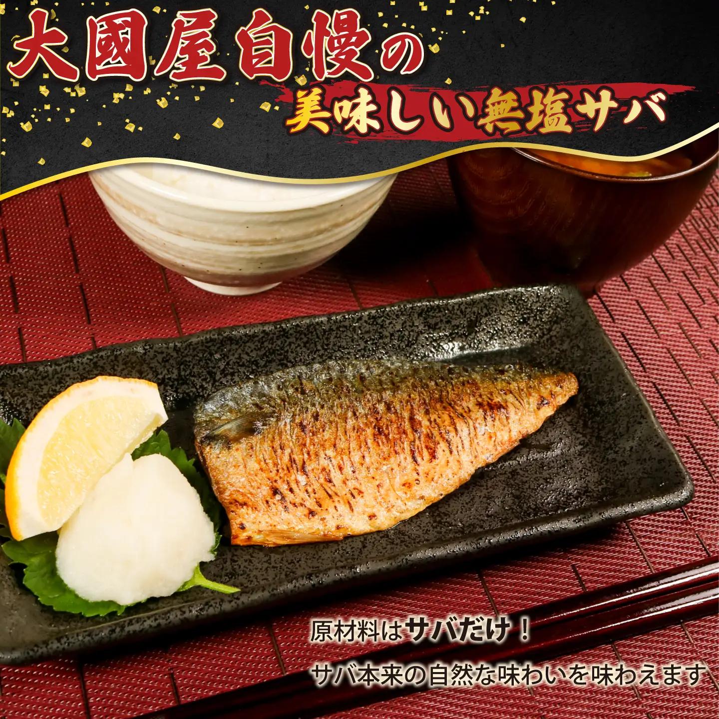 訳あり 国産 無塩さば 約2kg 小サイズ サバ