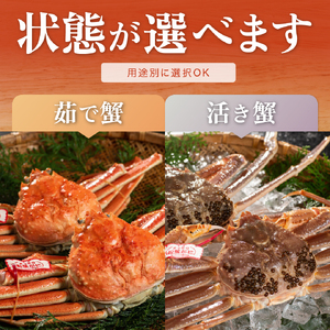 【年内発送】【訳あり】【生親がに 100g 5匹】 カニ ズワイガニ 松葉ガニ N100_I