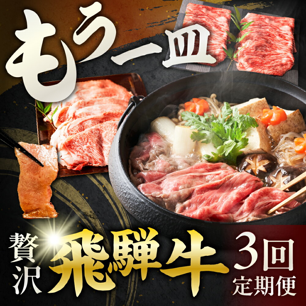 【ふるさと納税】 贅沢 飛騨牛 もう一皿 定期便 （3回お届け） ｜ 5等級 A5 a5 ブランド牛 定期便 焼肉 すき焼き しゃぶしゃぶ 切り落とし 赤身 肩ロース カルビ 国産 食べ比べ セット 牛肉 肉 和牛 毎月 焼き肉 すき焼き肉 切り落とし すきやき 冷凍 どやな飛騨市 岐阜県
