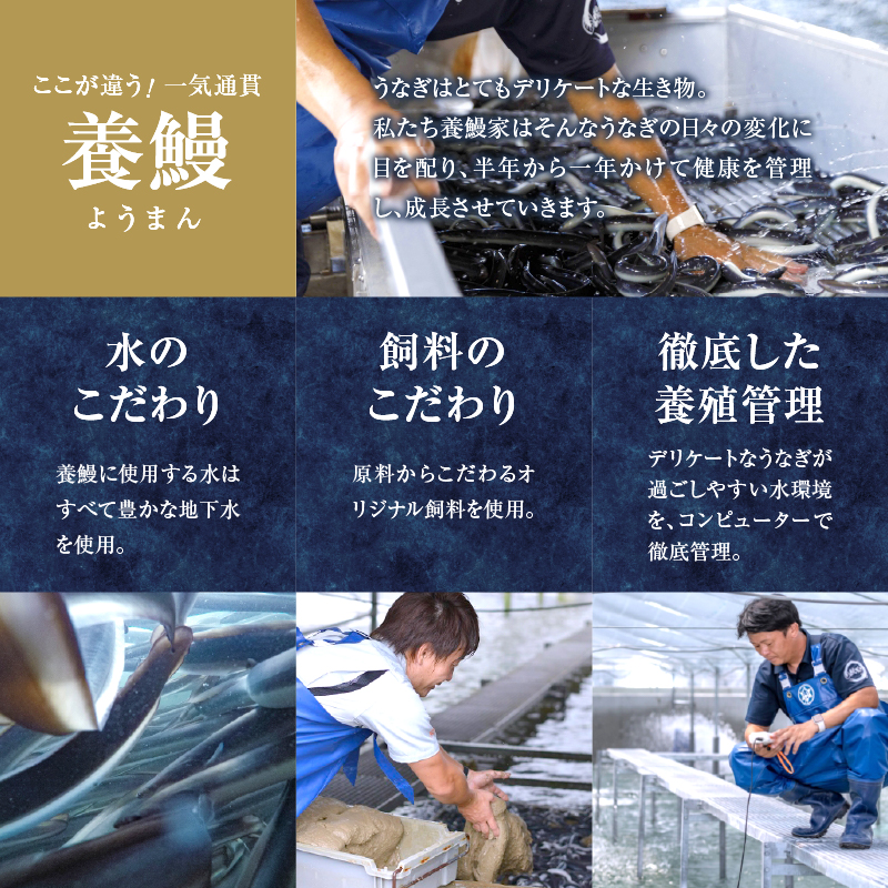 うなぎ蒲焼2尾(さんしょう・たれ付き)計300g以上_T026-001【鰻 魚 魚介 加工品 九州産 国産 人気 ギフト 食品 おかず 惣菜 高級 お土産 贈り物 送料無料 プレゼント】