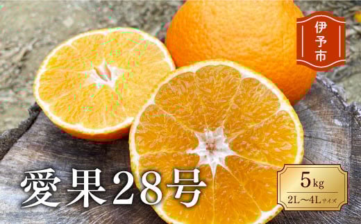 
            みかん 愛媛 愛果28号 5kg ご家庭用 2L〜4L 大玉 人気 数量限定 先行予約 柑橘 伊予市 【2025年11月下旬から順次発送予定】｜B83
          