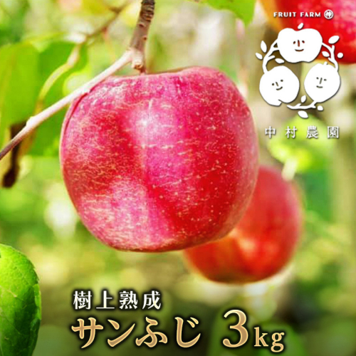 フルーツファーム中村農園　【11月下旬発送 先行予約】樹上熟成　サンふじ 3kg |  りんご サンふじ 糖度林檎 人気 おすすめ 果物 フルーツ 大玉 贈答用 ギフト 送料無料 長野県 長野市 信州 信濃 ふるさと納税