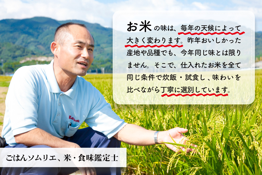 【令和7年産 新米 3ヶ月定期便】ごはんソムリエが厳選 白米 さがびより 10kg【神埼市産 米 お米 精米 白米 10kg 5kg×2 3回 さがびより ブランド米 食味鑑定士】(H063148)