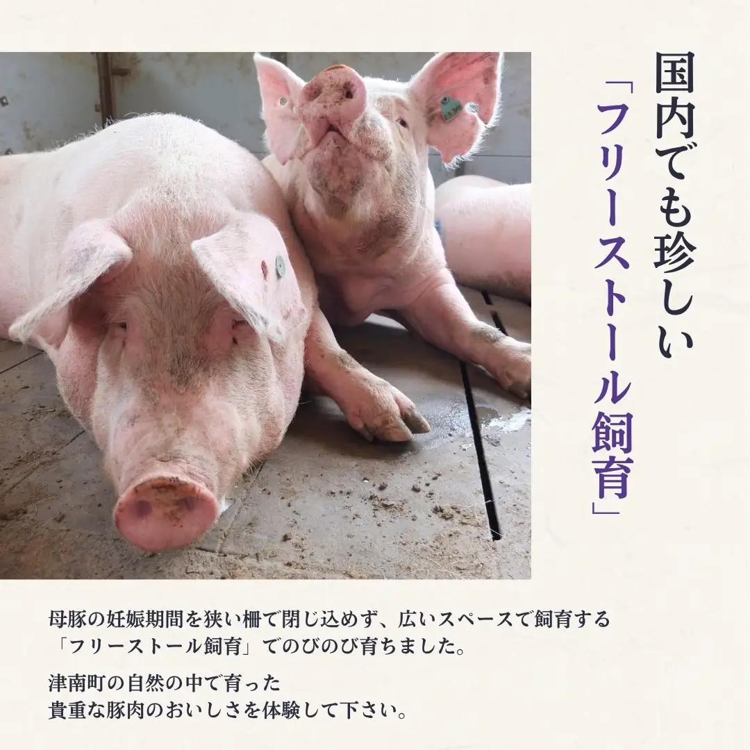 鬼の宝ポーク しゃぶしゃぶ 1.5kg ( ロース/肩ロース/バラ 各500g )| 国産豚 豚しゃぶ 津南町