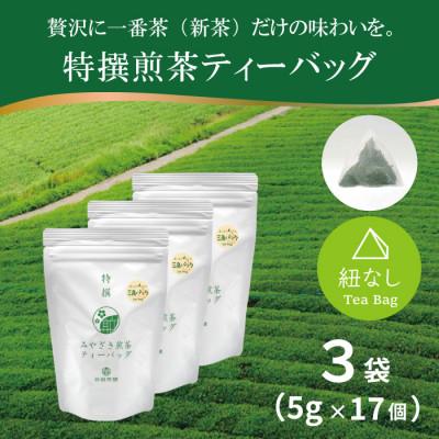 ふるさと納税 日向市 特撰みやざき煎茶ティーバッグ　3袋