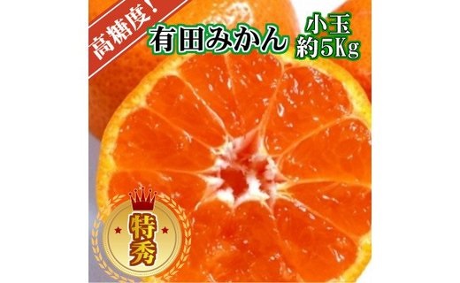 BD6035n_【２０２５年先行予約】高糖度 有田みかん 特秀品 5kg 小玉 (S～Mサイズおまかせ)
