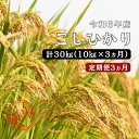 【ふるさと納税】令和6年産／お米定期便／3ヵ月】しまね川本 こしひかり 10kg (計30kg） 島根県 川本町産 コシヒカリ 藤屋 石見米