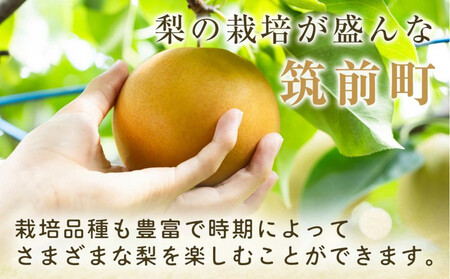  【産地直送】筑前町の豊かな自然の中で育まれた梨　約3kg(5玉～9玉)