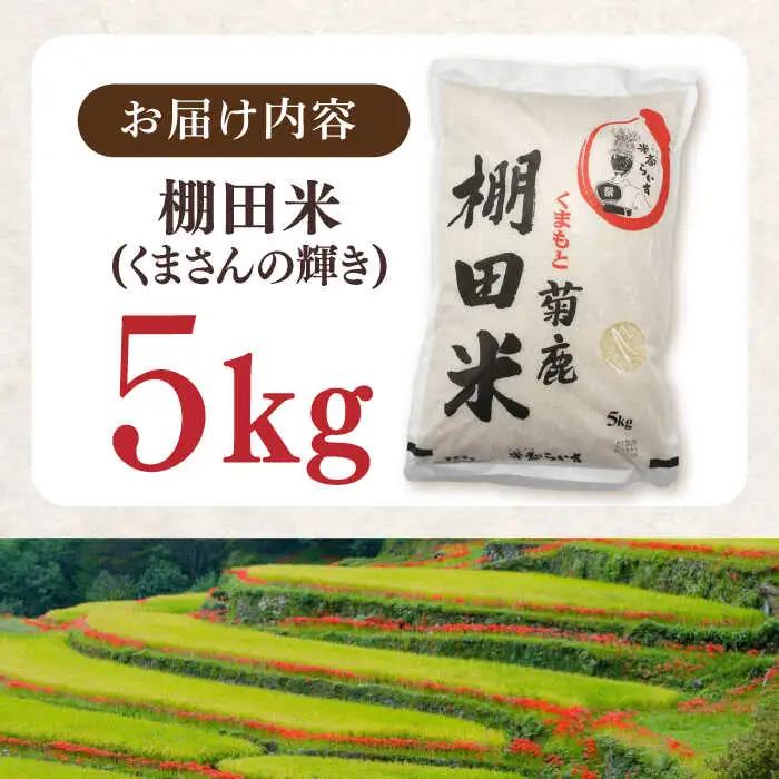 菊鹿 棚田米 5kg【ミヤタ 株式会社 】熊本 精米 熊本 白米 ごはん 米 こめ お米 [ZAH001]