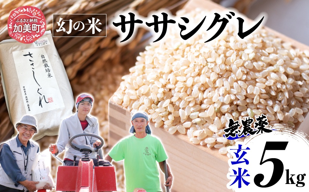 【新米予約】《 希少品種米 》 米 令和8年 宮城県産 ササシグレ ( 栽培期間中農薬・肥料不使用 ) 玄米 5kg ｜ 宮城県 加美町 無農薬 お米 こめ コメ ささしぐれ ササニシキ の 父 ｜ nt-ss05-gn-r8 | nt-ss05-gn-r8