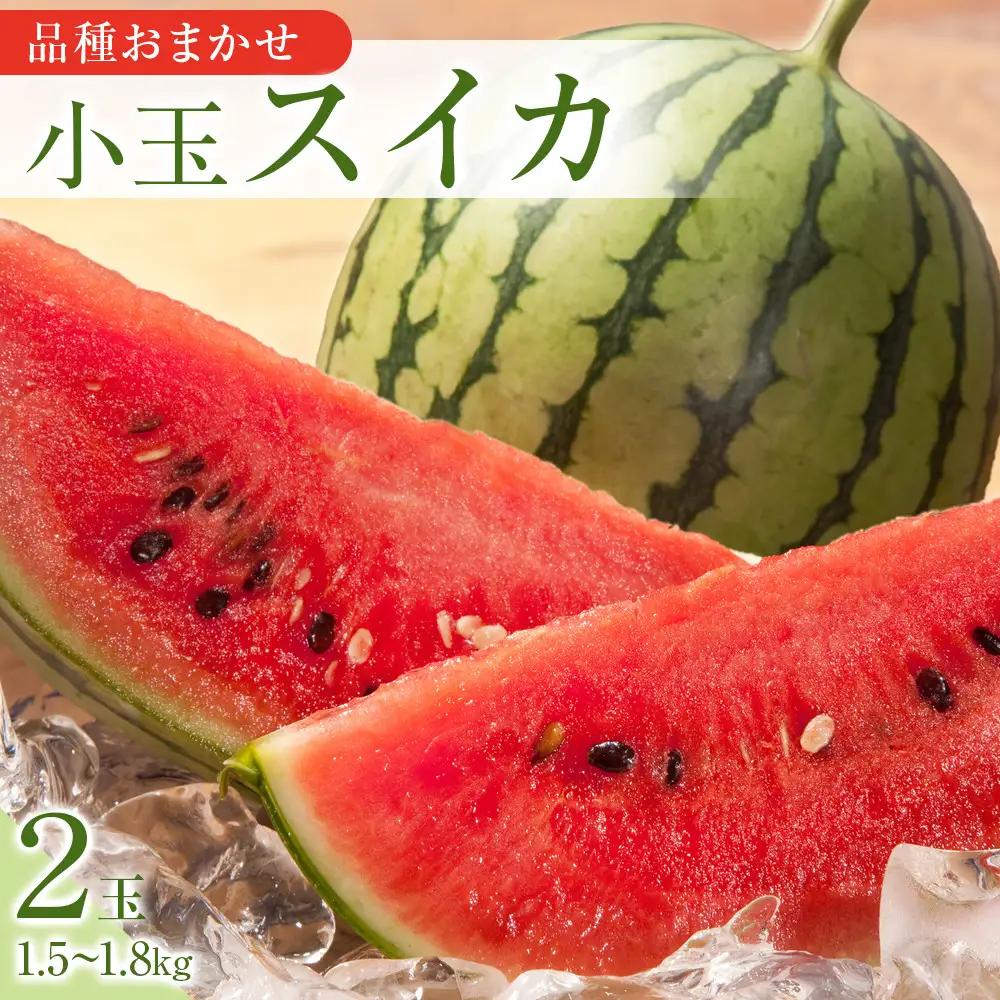 【2027年産先行予約】【品種はおまかせ】小玉スイカ 2玉 ※2027年6月上旬～8月中旬頃に順次発送予定 スイカ