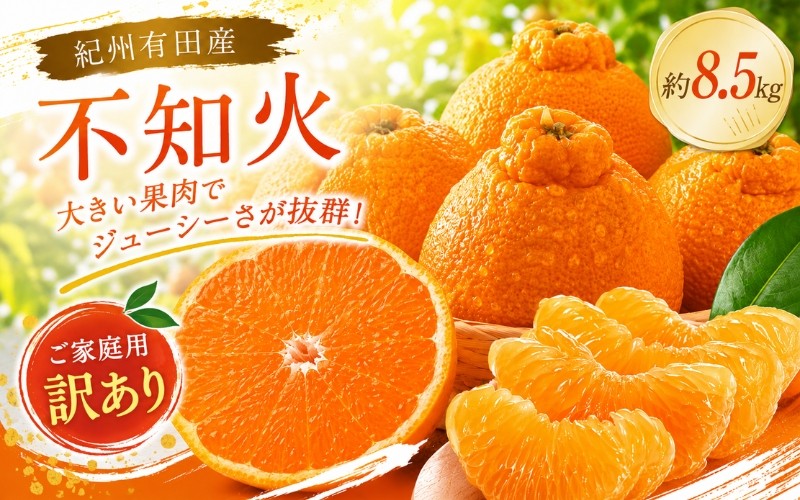 
                  【訳あり・ご家庭用】紀州有田産不知火(しらぬひ) 約8.5kg 【予約】【2027年2月中旬頃〜2027年3月中旬頃に順次発送予定(お届け日指定不可)】
                