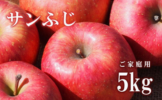 【ふるさと納税】No.2308 りんご「サンふじ」家庭用 約5kg【2025年度発送】