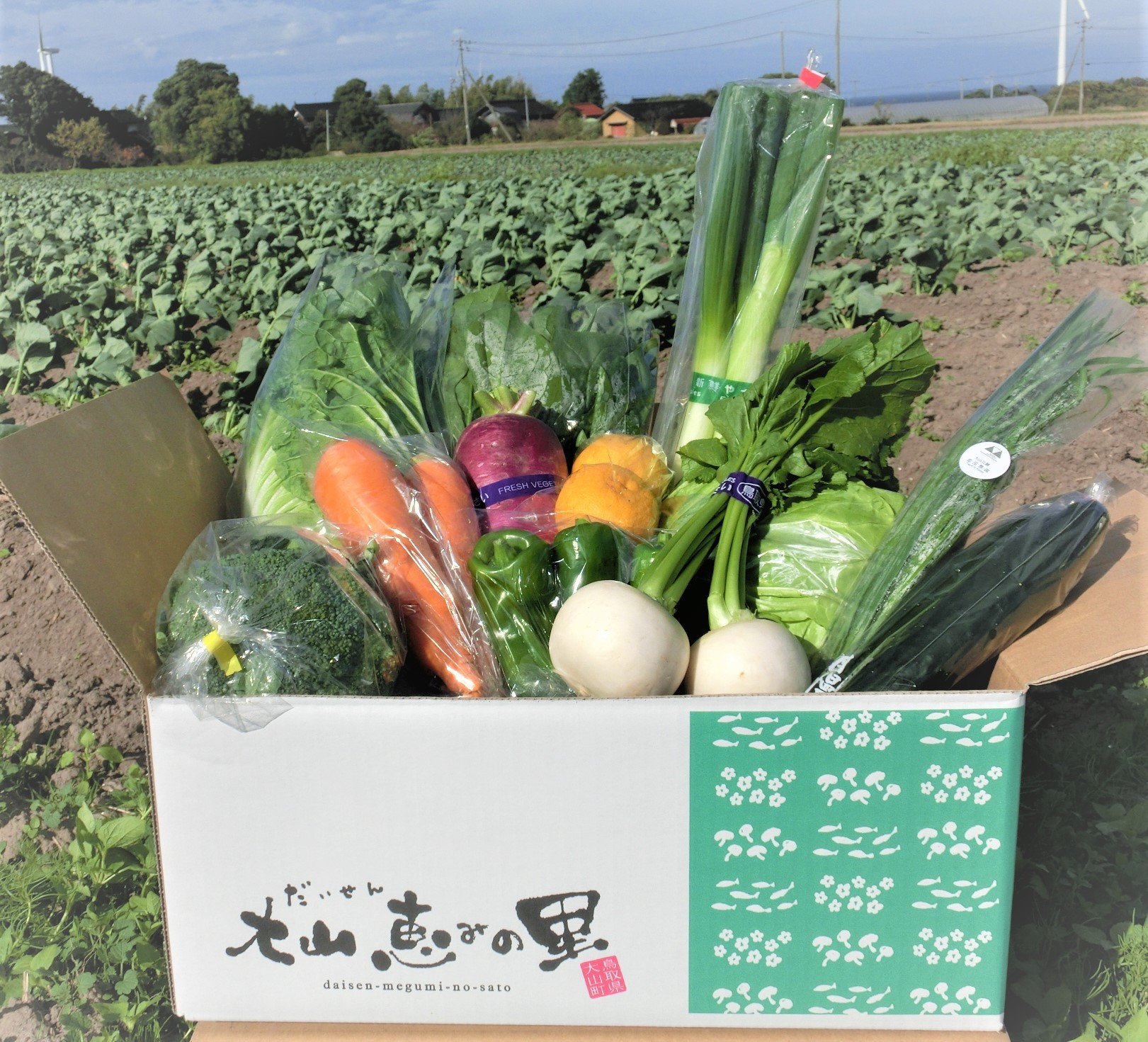 
                  新鮮朝採れ野菜　お手頃セット
                