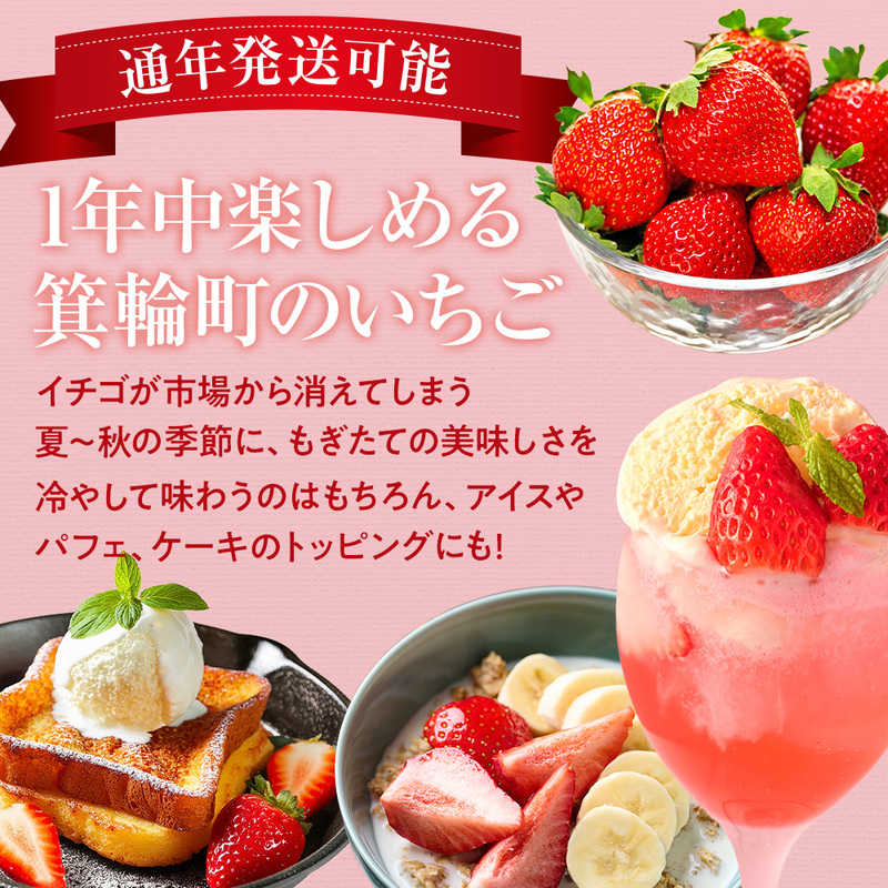 いちご　夏いちご　夏秋いちご詰め合わせ