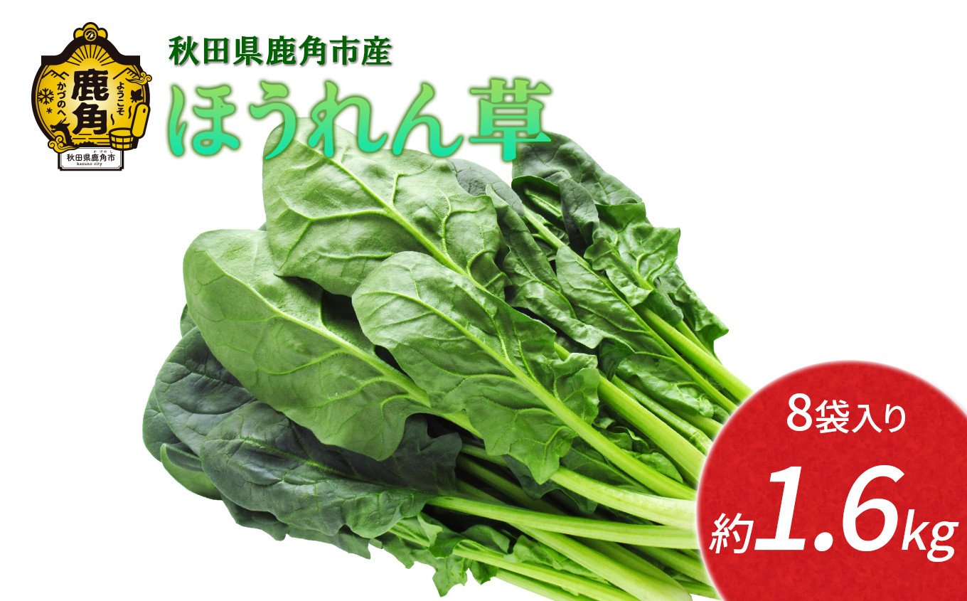 
                  秋田県鹿角産 ほうれん草 約1.6kg（8袋入）【恋する鹿角カンパニー】  新鮮 旬 緑黄色野菜 ホウレンソウ 炒め物 おひたし 安全 甘い 採れたて 国産野菜 お取り寄せ グルメ ギフト お中元 お歳暮 秋田 あきた 鹿角市 鹿角 秋田県 鹿角産 送料無料
                