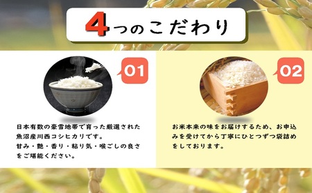 魚沼産コシヒカリ　厳選　低温管理　自社精米　5kg　新潟　こしひかり
