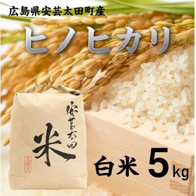 【ふるさと納税】【令和8年産】ヒノヒカリ　白米5kg【1441145】
