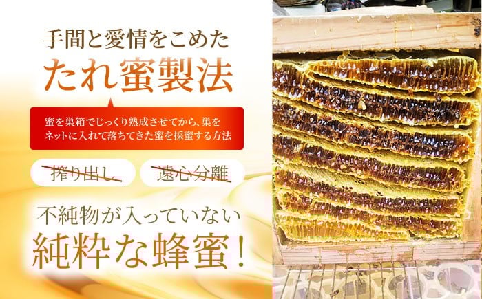 【先行予約】日本ミツバチの天然生はちみつ ( 百花蜜 ) 200g【白木酒店】 [HAQ031]