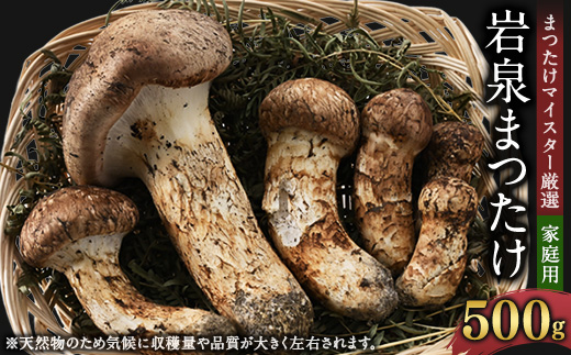 【2026秋発送】【自家用】岩泉まつたけ 500g【配送不可地域：離島】
