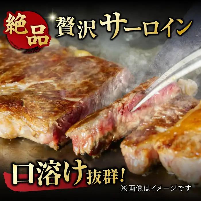 佐賀牛 ヒレ＆サーロインステーキ 食べ比べセット 計800g すてーき 黒毛和牛[FDB023]