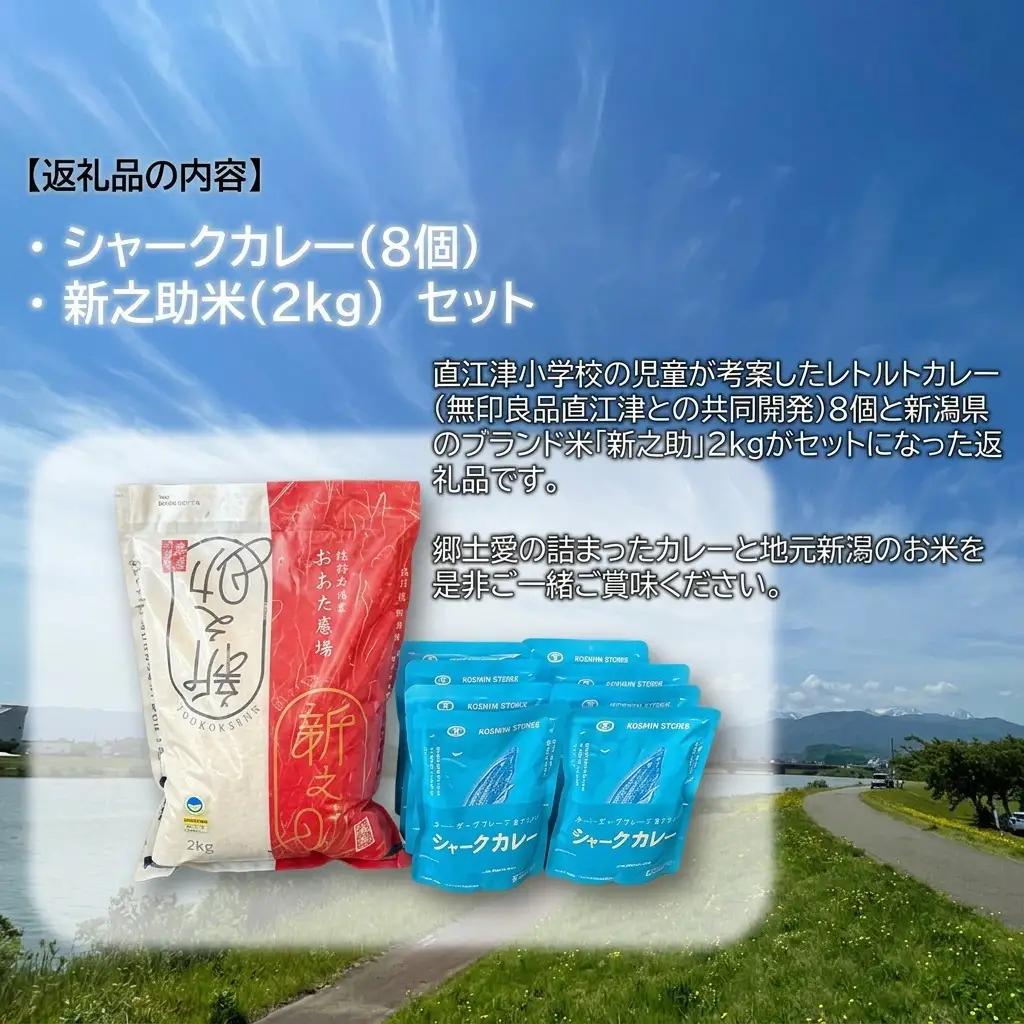 直江津小学校 シャークカレー カレー 8個 新之助2kg