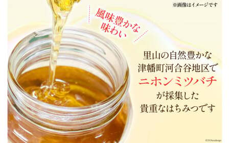 はちみつ 国産 純粋はちみつ 里山ひめみつ 250g 2瓶