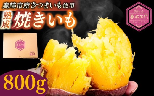 熟成 特製 焼き芋 800g 先行予約 ホクホク ねっとり 選べる 食感 焼きいも 焼芋 やきいも さつまいも サツマイモ いも yakiimo スイーツ デザート 子供 家族 人気 茨城県 鹿嶋市 熟成焼きいも善右ヱ門  事前予約 【2026年10月以降発送予定】