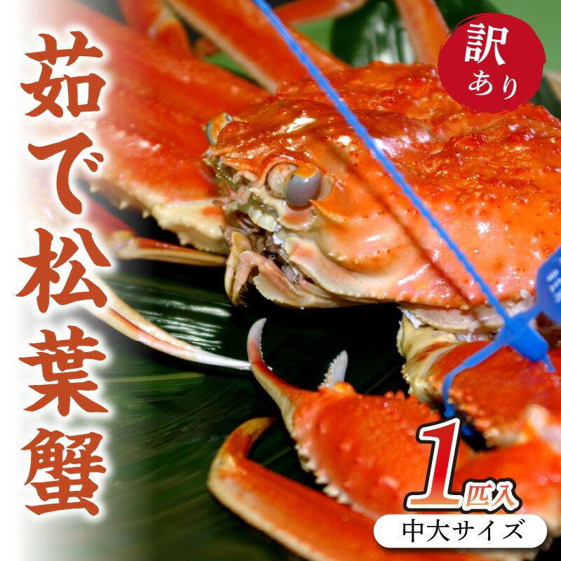 【ふるさと納税】日本海産　茹で松葉蟹【訳あり】中大サイズmatubakani800 ズワイガニ 松葉ガニ 800g 国産 カニ ガニ かに 松葉ガニ ボイル 高級 訳あり まるごと 京都 丹後 送料無料