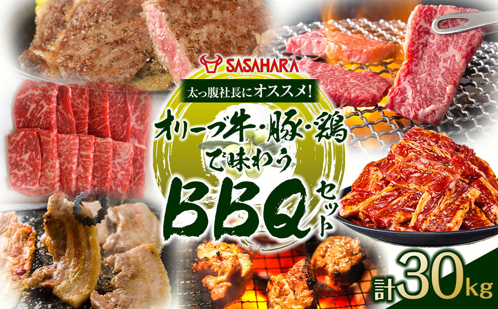 太っ腹社長にオススメ！オリーブ牛・豚・鶏で味わう　BBQセット 計30kg 372013_HM246