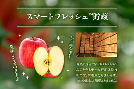 特撰青森りんご　約3kg丸かじりりんご品種おまかせ1種（スマートフレッシュ貯蔵またはCA貯蔵）【6月中旬発送】
