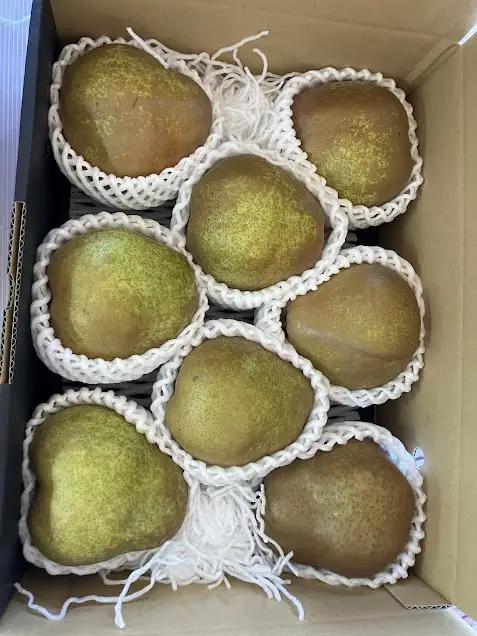2026年産 西洋梨 ラフランス 2kg ラフランス 洋梨 くだもの